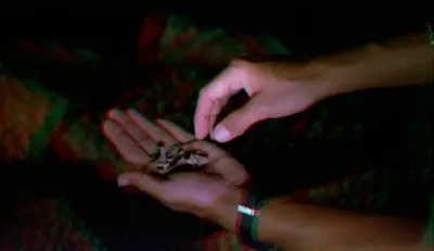 Галапагосы: Очаровательное Путешествие 3D / Galapagos: The Enchanted Voyage 3D (1999) DVDRip