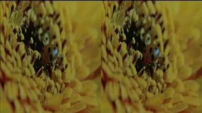 Микромиры 3D / MicroWorlds 3D (2010) HDTV 720p