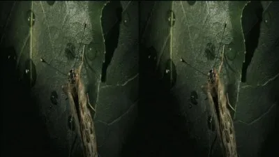 Микромиры 3D / MicroWorlds 3D (2010) HDTV 720p
