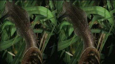 Микромиры 3D / MicroWorlds 3D (2010) HDTV 720p