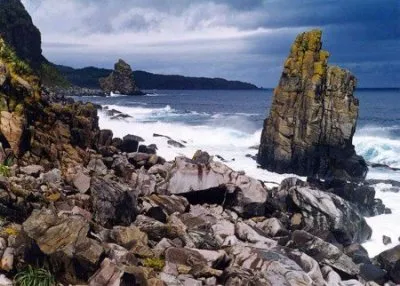 Японская поддержка Путина в обмен на Курилы