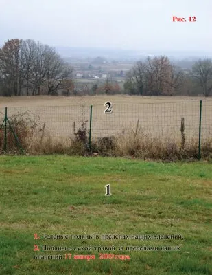 Трава, которую нашёл «Грифон»