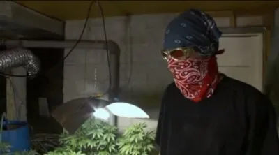 Союз: теневой бизнес удовольствия / The Union: the business behind getting high (2007) DVDRip
