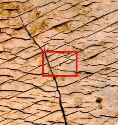 Капсула времени находится на территории Башкортостана
