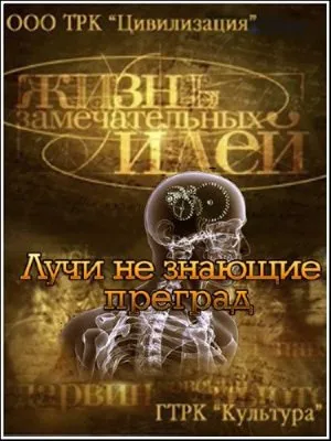 Жизнь замечательных идей. Лучи, не знающие преград (2012) SATRip
