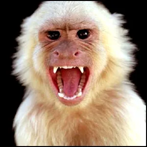 Из чего делают вакцины