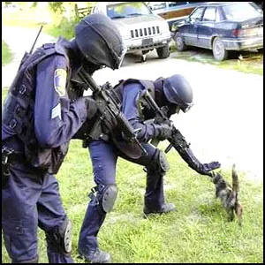 Про будущее милиции в России