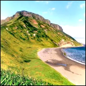 Курилы – не четыре голых острова