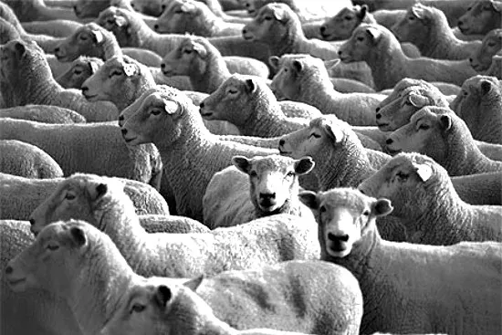 Культурный геноцид: Модификация сознания