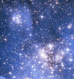 Мёртвые львы