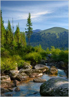 Продажа Сибири? Буднично. Путин&hellip; ВТО, НАТО, СКФО... - надо ЗНАТЬ!