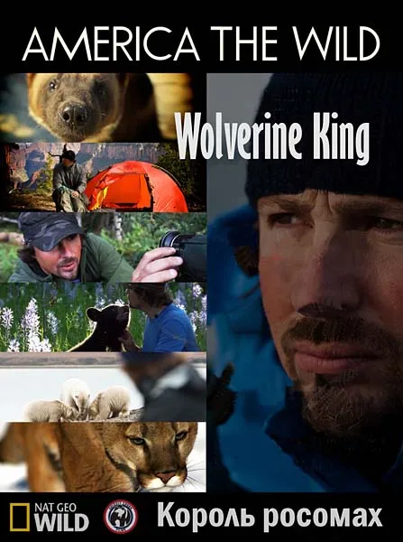 Дикая Америка: Король росомах / America the wild: Wolverine King (2011) HDTVRip