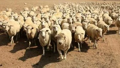 Словоблуды словоблудили словоблудили да не высловоблудили…