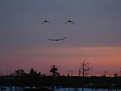 Вино экстаза