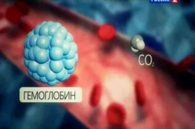 Наука 2.0. Человеческий фактор. Воздушная среда (2011) SATRip