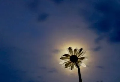 Удар посоха