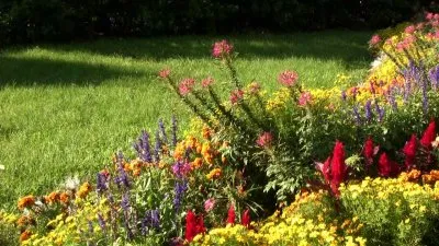 Наша природа / Unsere Natur (2011) BDRip 720p
