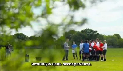 BBC: Видим ли мы одно и то же? / BBC: Horizon. Do You See What I See? (2011) SATRip