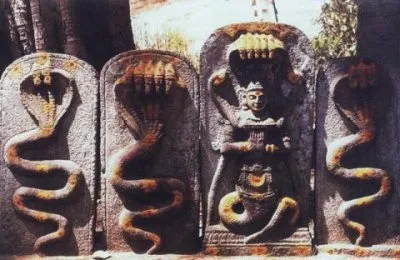 Случай из практики: "Рассказ человека - змея"