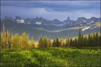 Продажа Сибири? Буднично. Путин… ВТО, НАТО, СКФО... - надо ЗНАТЬ!