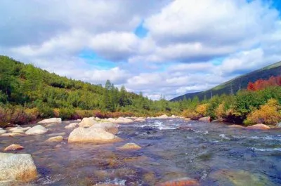 Продажа Сибири? Буднично. Путин… ВТО, НАТО, СКФО... - надо ЗНАТЬ!