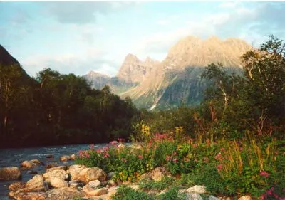 Продажа Сибири? Буднично. Путин… ВТО, НАТО, СКФО... - надо ЗНАТЬ!