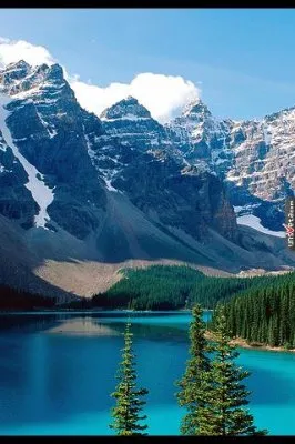 Продажа Сибири? Буднично. Путин… ВТО, НАТО, СКФО... - надо ЗНАТЬ!