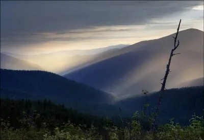 Продажа Сибири? Буднично. Путин… ВТО, НАТО, СКФО... - надо ЗНАТЬ!