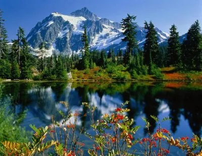 Продажа Сибири? Буднично. Путин… ВТО, НАТО, СКФО... - надо ЗНАТЬ!