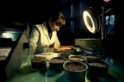 Большой скачок. Умный хлеб (2011) SATRip