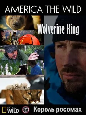 Дикая Америка: Король росомах / America the wild: Wolverine King (2011) HDTVRip