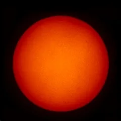 Срочное сообщение от Арины Никитиной