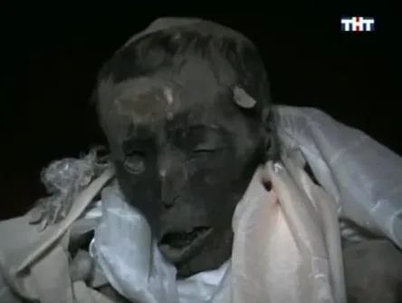 Видео Ламы, который спит 500 лет