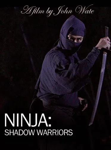 Ниндзя Воины-тени / Ninja Shadow warriors (2011) SATRip