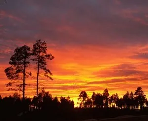 От зари до зари изумление и удивление
