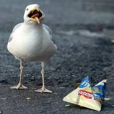 УГРОЗА ВЛАСТИ ЗАПАДА В РОССИИ