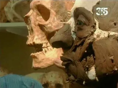 Мифы человечества. Сын божий / Myths of Mankind. The Son of God (2006) SATRip