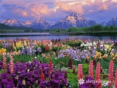 Духовность, достаток и реальная жизнь