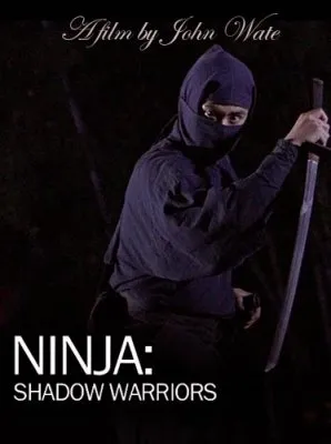 Ниндзя Воины-тени / Ninja Shadow warriors (2011) SATRip