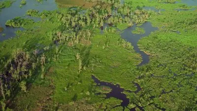 Ураган на Байу / IMAX - Hurricane on the Bayou (2006) BDRip 1080p