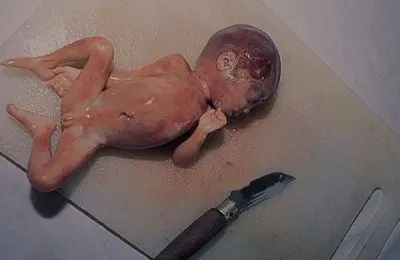 Как китайцы едят младенцев