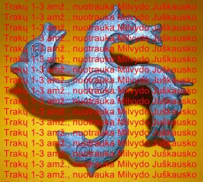 Литва знает свою историю: Свастика на щитах оправдана
