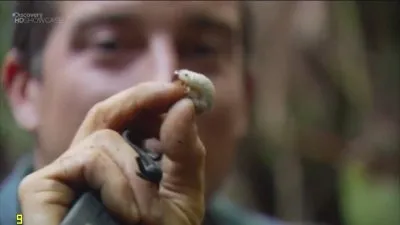 Discovery: Выжить любой ценой: Гватемала / Guatemala (2010) SATRip