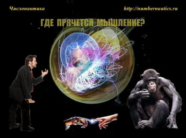 Где прячется мышление?