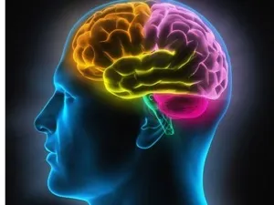 Атрофия мышления, или Конец близок!