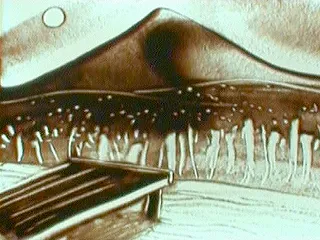 Атланты. В поисках истины. "Будущее Земли - гибель или новое рождение?" (08.06.2012)