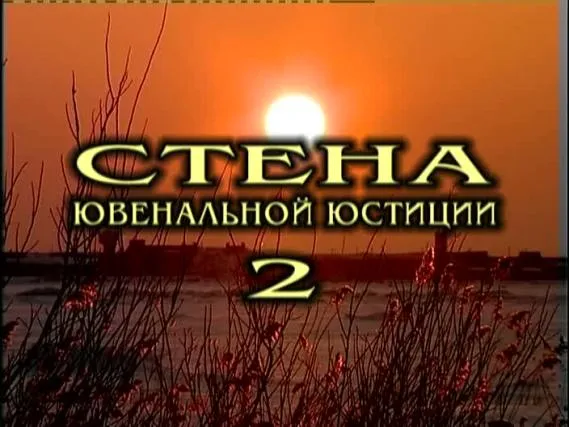Стена ювенальной юстиции 2: Шесть историй
