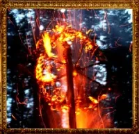 Приглашаем на празднование Купалы 2012 под Санкт-Петербургом