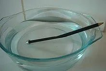 Органы чувств. Реален ли цвет? (видео)