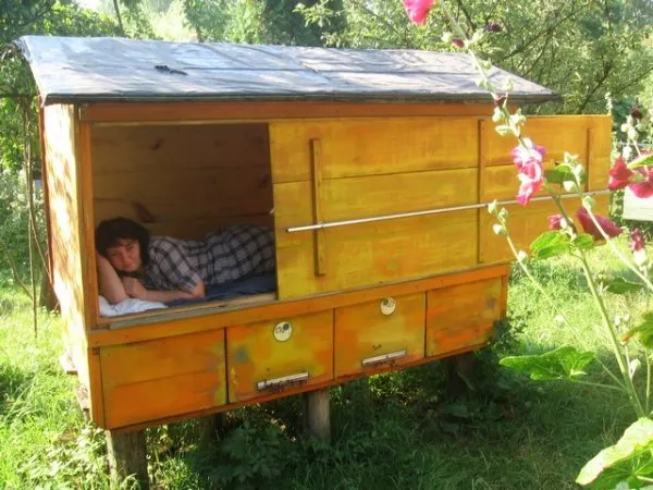 Здоровый сон с пчёлами